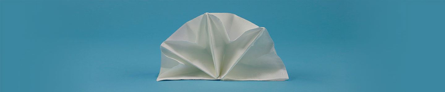 Double Star Napkin Fold