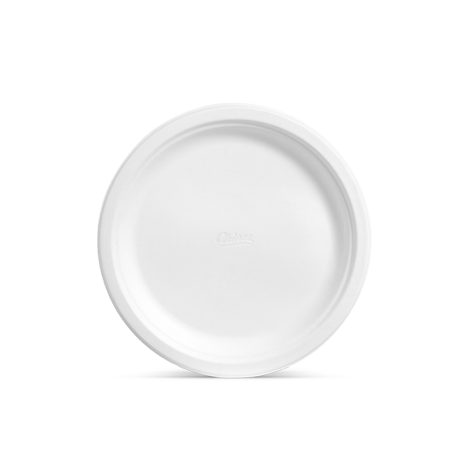 4 Inch Mini Disposable Plastic Plates, 100 Count Round Plates Small Plastic  Plates Microwaveable Plate for BBQ Party Dinner Travel and Events, White