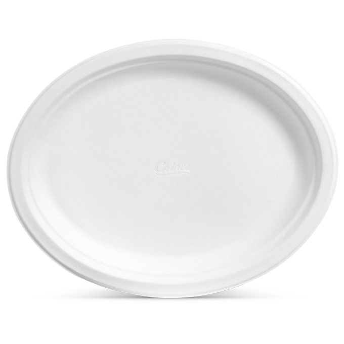 Chinette 9 Heavy Paper Plate (ECO Friendly)