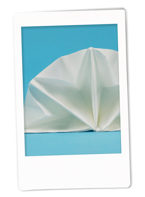 Double Star Napkin Fold