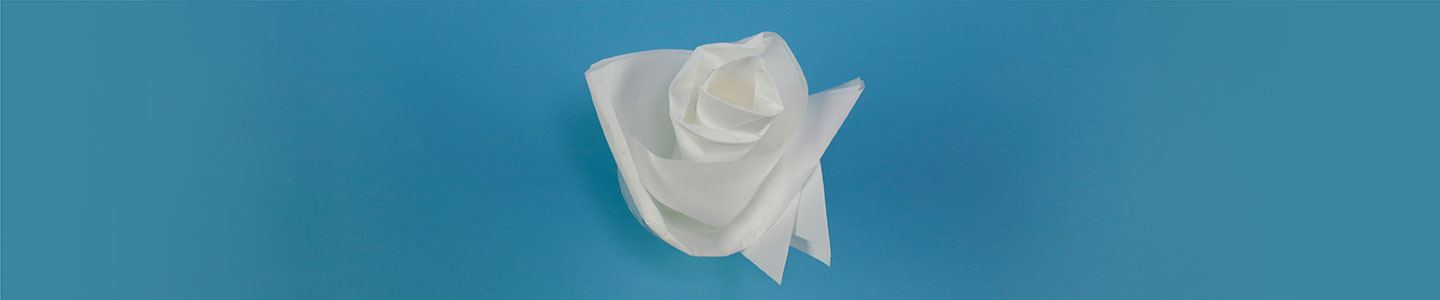 Rose Napkin Fold