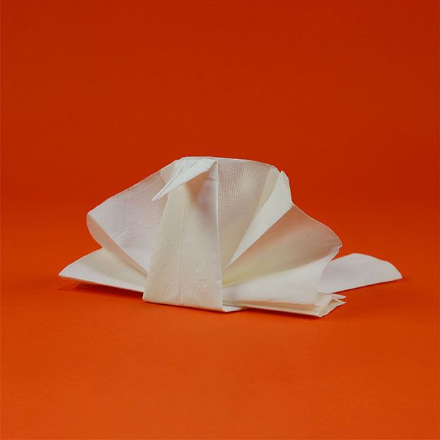 Turkey Napkin Fold