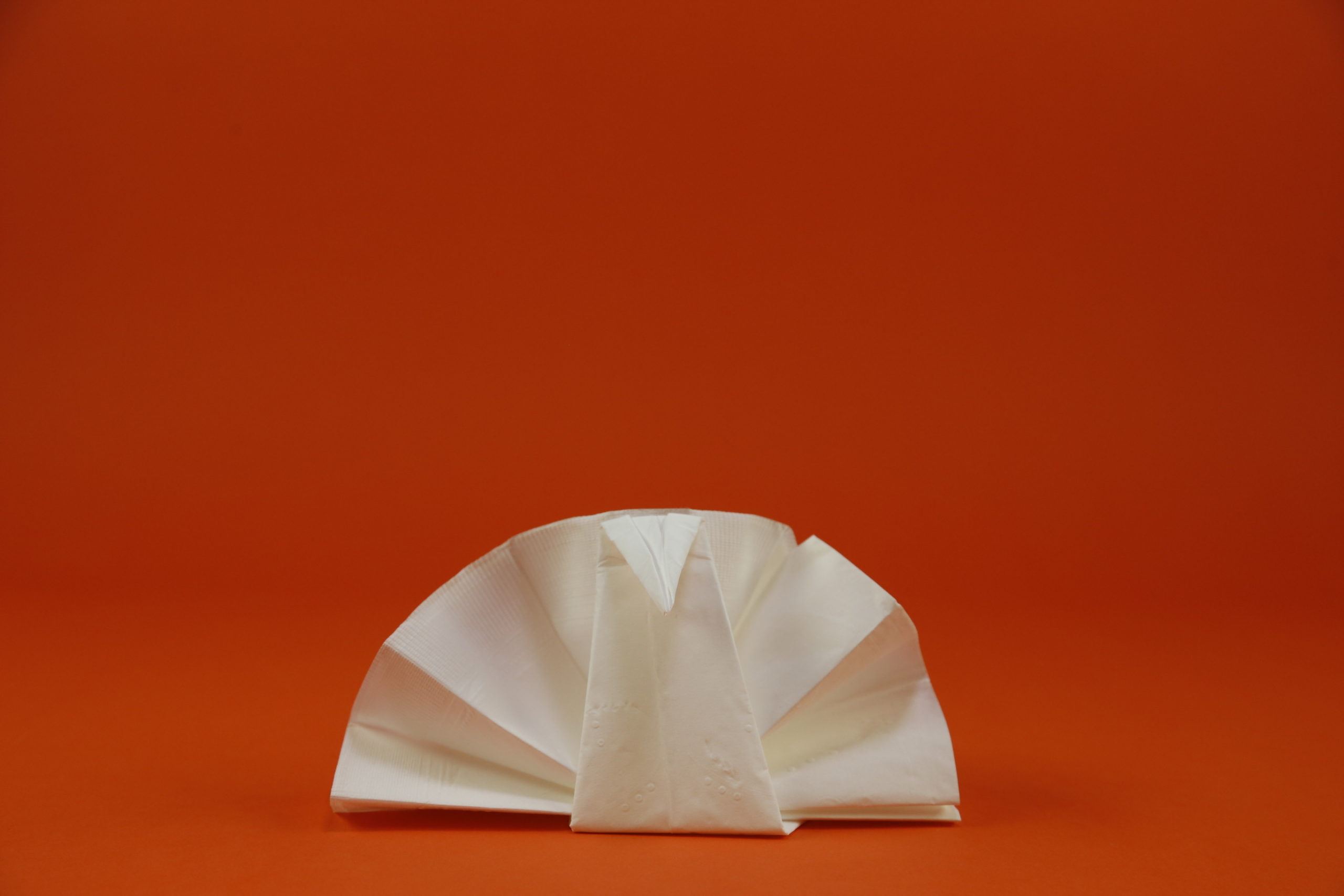 how to fold a turkey napkin