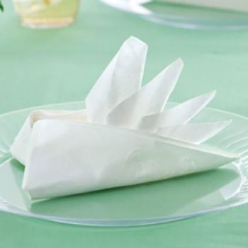 Bird of Paradise Napkin Fold