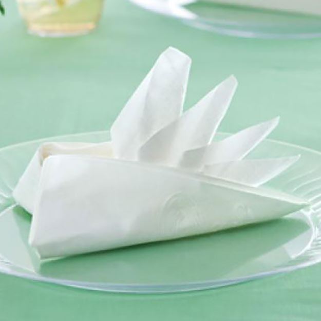 Bird of Paradise Napkin Fold