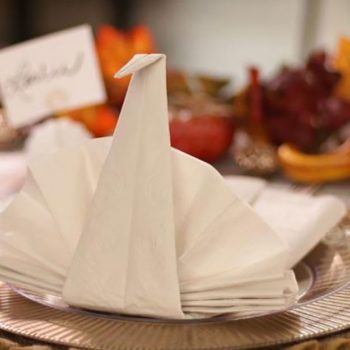 Turkey Napkin Fold