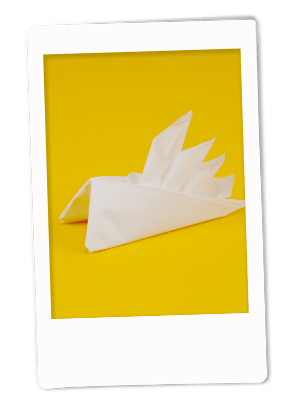 Bird of Paradise Napkin Fold