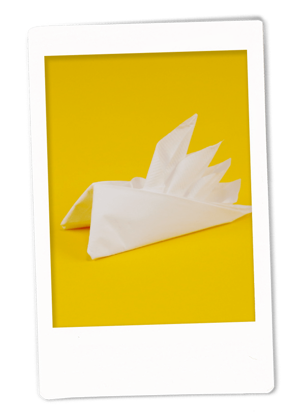 Bird of Paradise Napkin Fold
