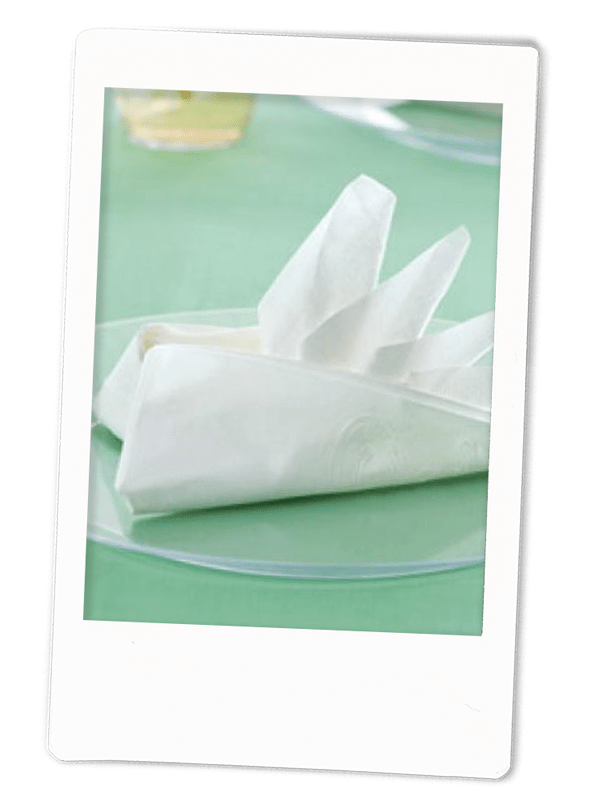 Bird of Paradise Napkin Fold