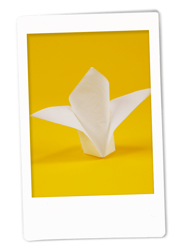 Crown Napkin Fold