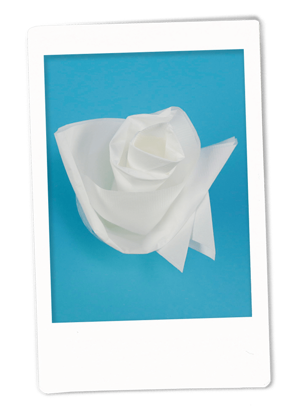 Rose Napkin Fold