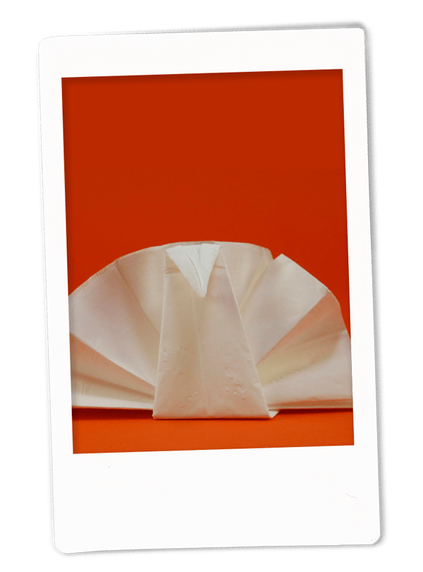 Turkey Napkin Fold