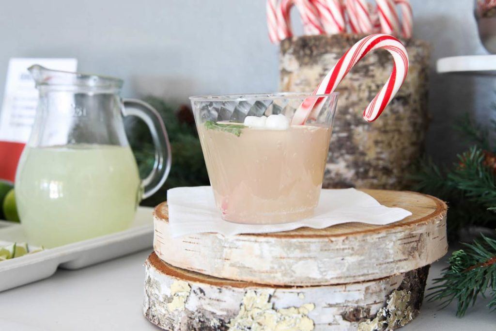 Holiday Drink Station Ideas