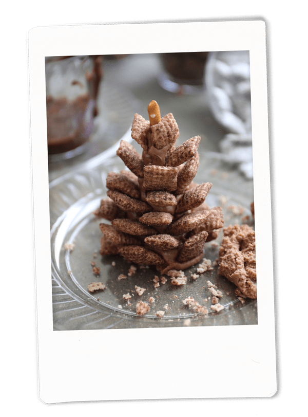 Peanut Butter, Chocolate Pine Cones
