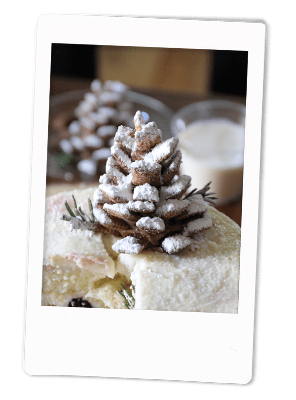 Peanut Butter, Chocolate Pine Cones