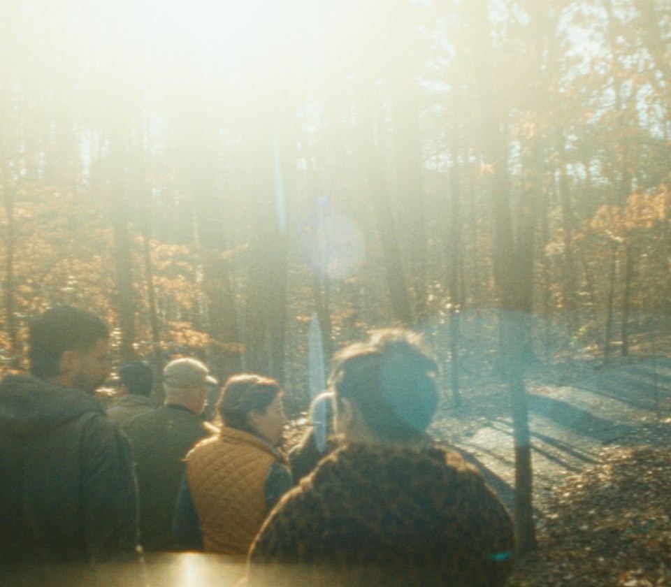 Group of people on a trail in forest in autumn