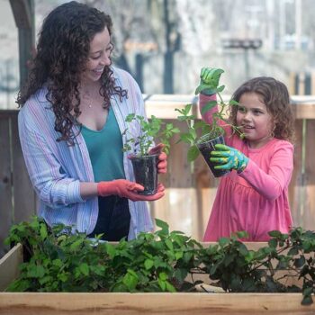 Mother and daughter planting herbs in a garden