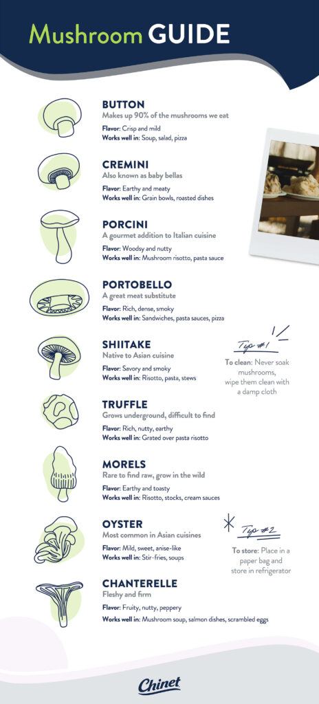 Mushroom guide