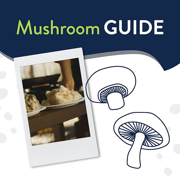 Image with an Instax picture of mushrooms on a Chinet Classic plate