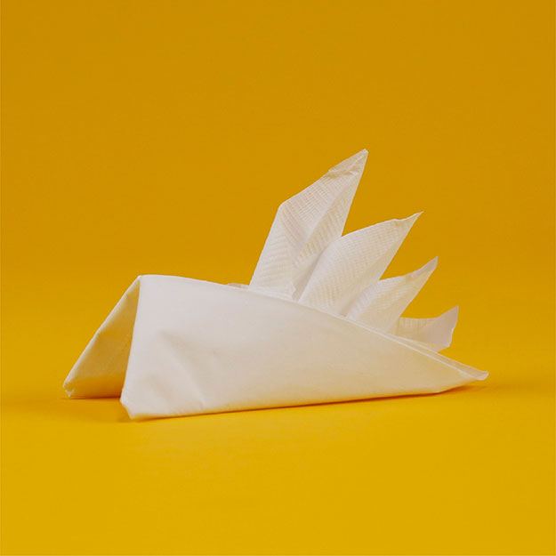Easy Paper Napkin Folding Ideas