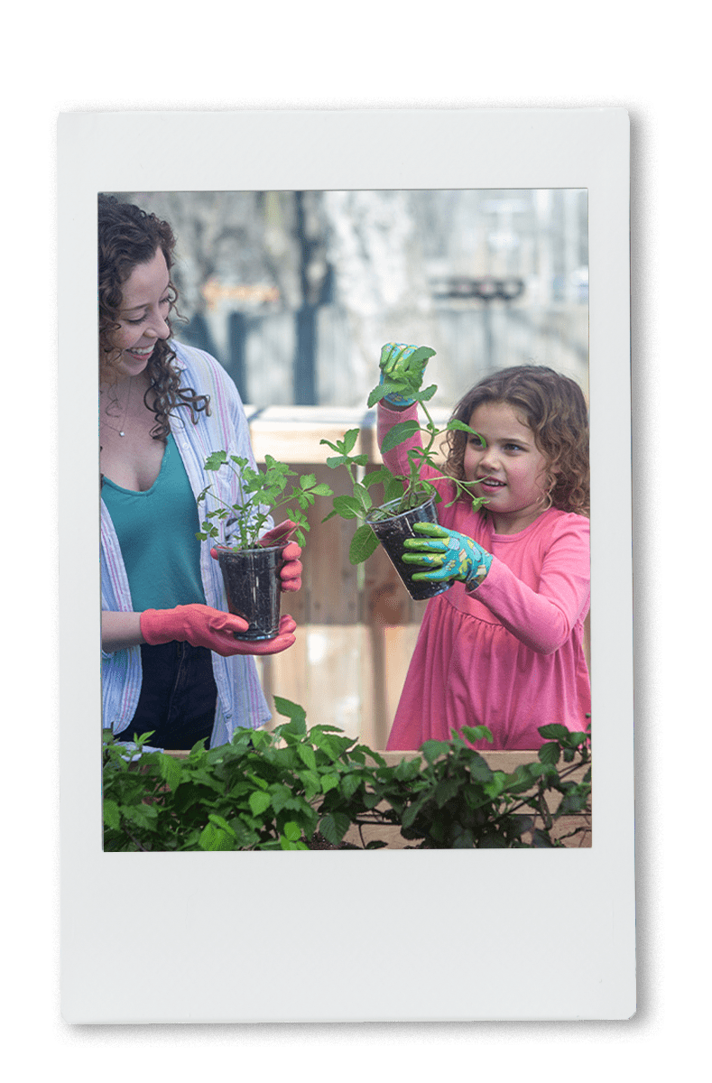 Instax of 2 girls planting tomato plants in a Chinet classic recycled clear cup