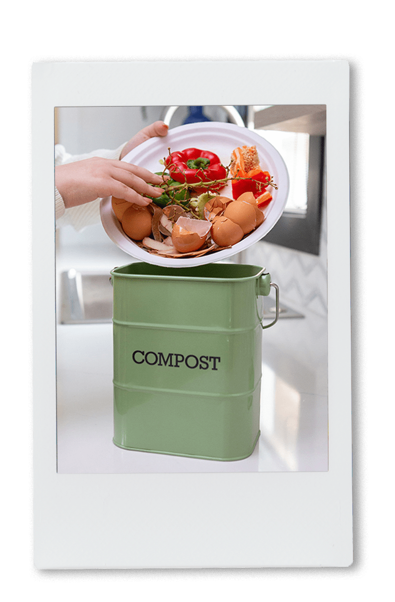 Person dumping food scraps into a compost bin using a chinet classic dinner plate