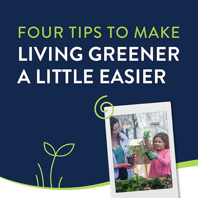 Four tips to make living greener a little easier