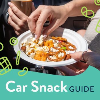 Car snack guide