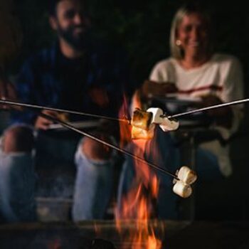 Marshmallows roasting on a stick over a campfire