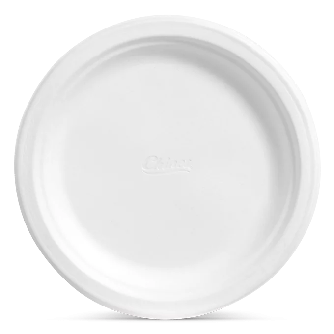 Chinet Classic™ Dinner Plate