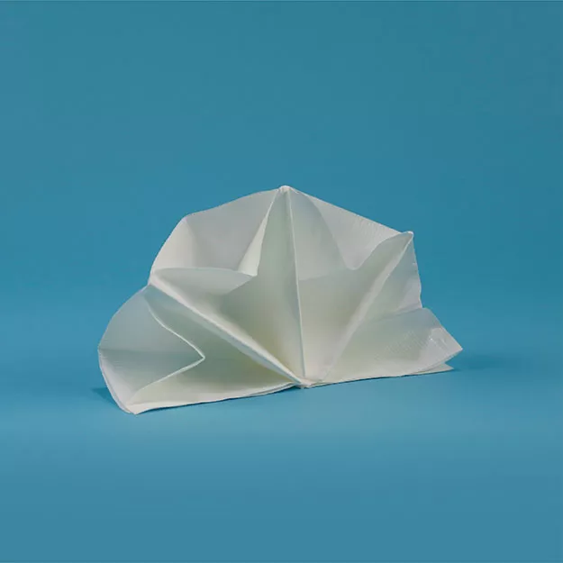 Double Star Napkin Fold