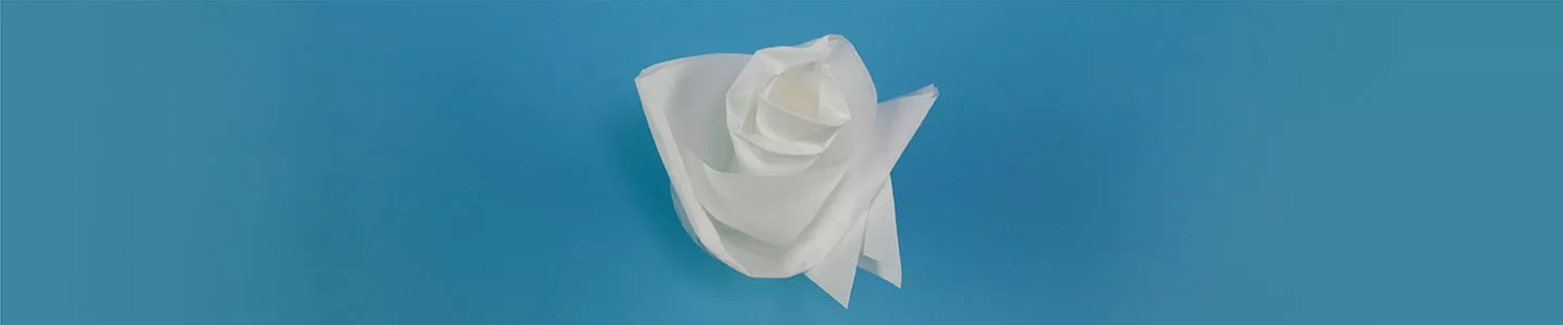 Rose Napkin Fold