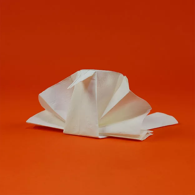 Turkey Napkin Fold