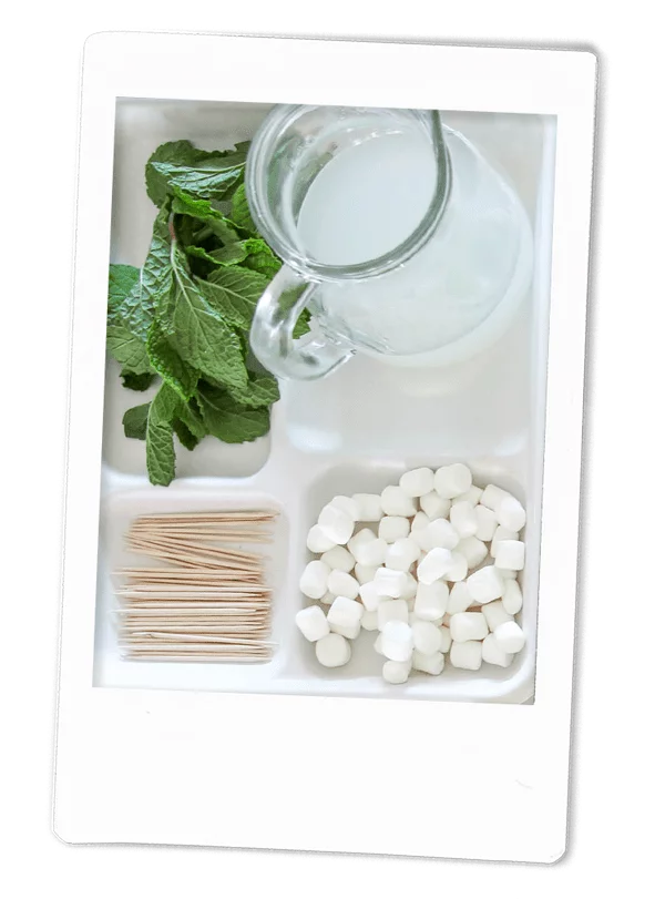 Mintini Mocktail