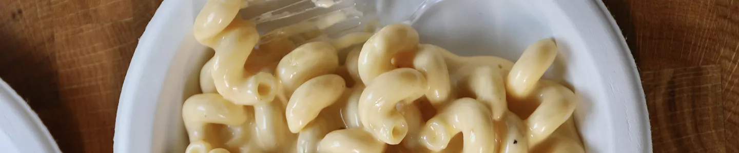 Macaroni and cheese on a Chinet Classic plate