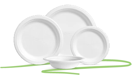 Assorted Chinet Classic products