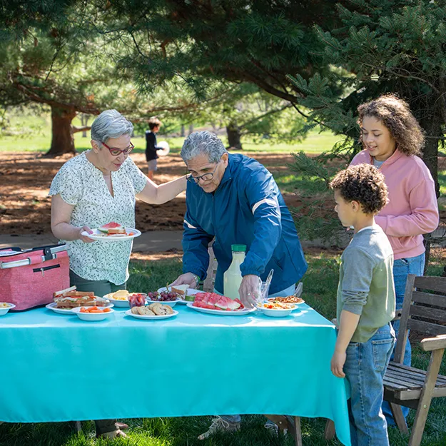 A spread of picnic foods served on Chinet Classic plates and bowls.