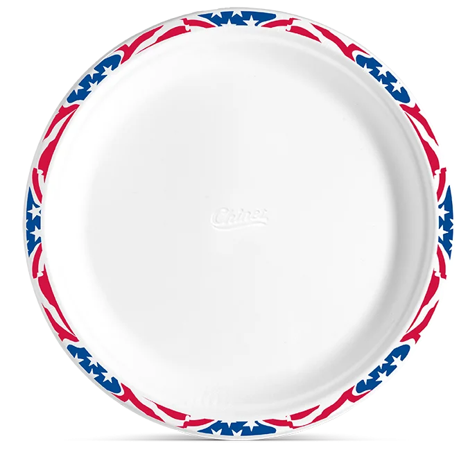 Chinet Classic Dinner America’s Plate